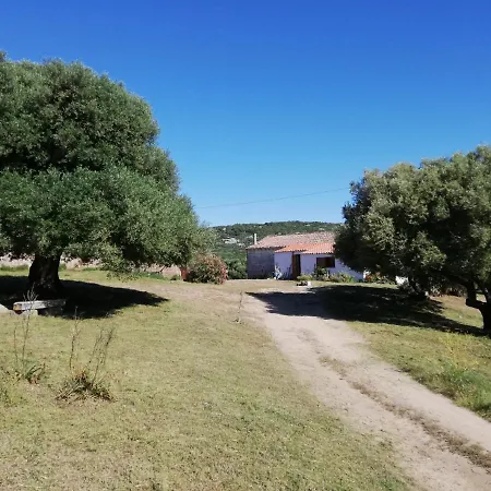Stazzo Chivoni 2 Chalet Luogosanto