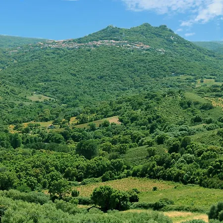Chalet Stazzo Chivoni 2 Luogosanto